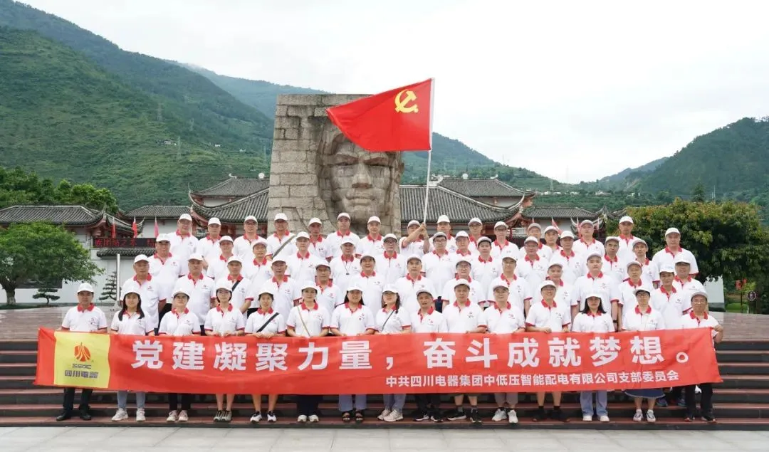 永利电器开展“党建凝聚力量,奋斗成就梦想”主题党日活动